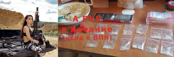 ПСИЛОЦИБИНОВЫЕ ГРИБЫ Аркадак