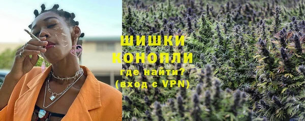 ПСИЛОЦИБИНОВЫЕ ГРИБЫ Аркадак